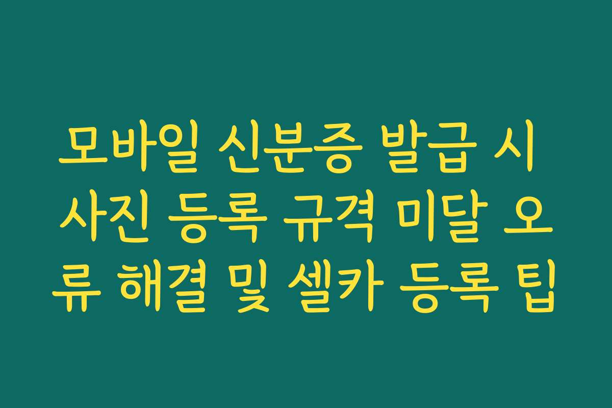 모바일 신분증 발급 시 사진 등록 규격 미달 오류 해결 및 셀카 등록 팁