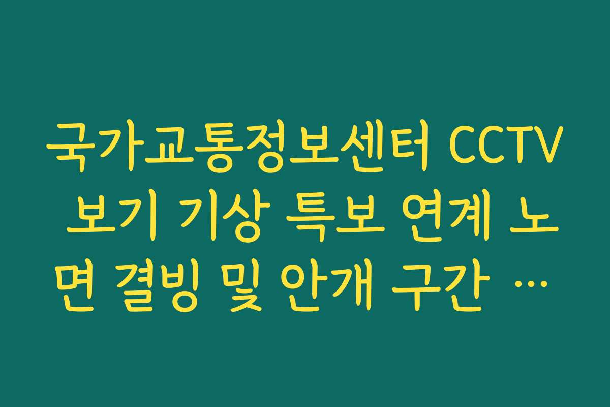 국가교통정보센터 CCTV 보기 기상 특보 연계 노면 결빙 및 안개 구간 확인