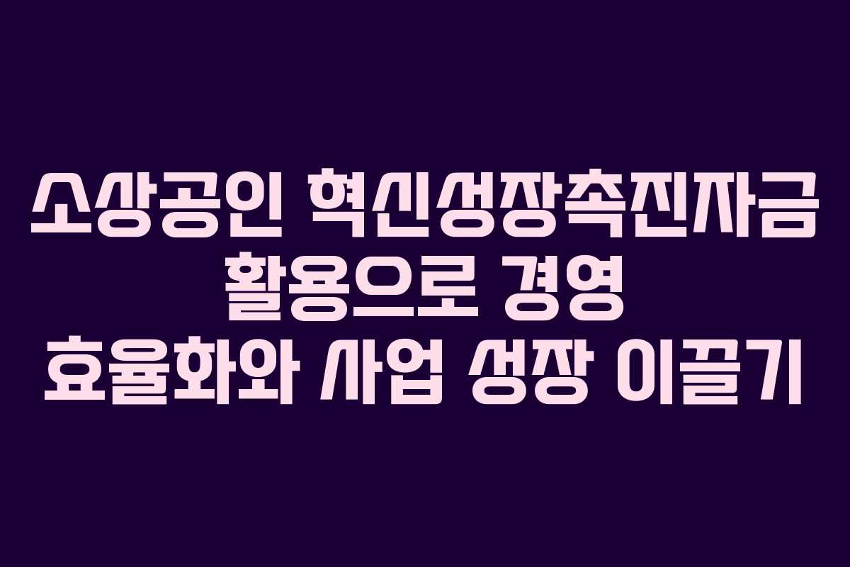 소상공인 혁신성장촉진자금 활용으로 경영 효율화와 사업 성장 이끌기