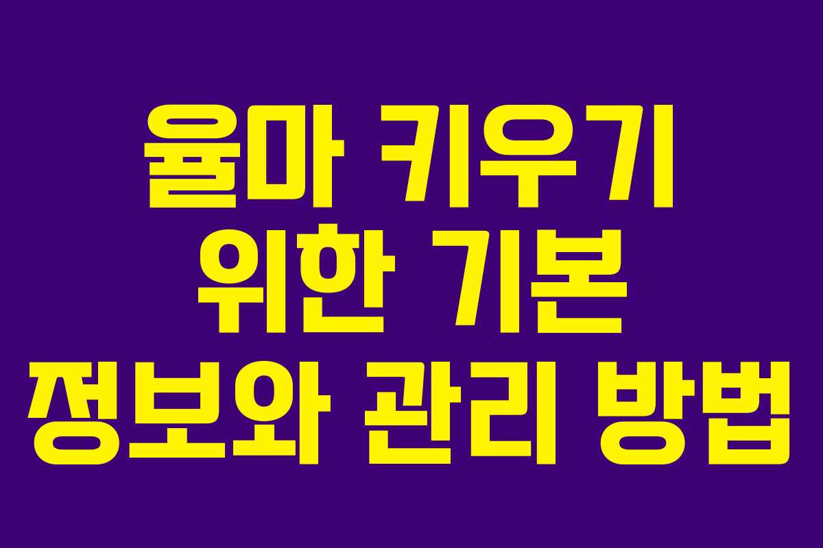 율마 키우기 위한 기본 정보와 관리 방법