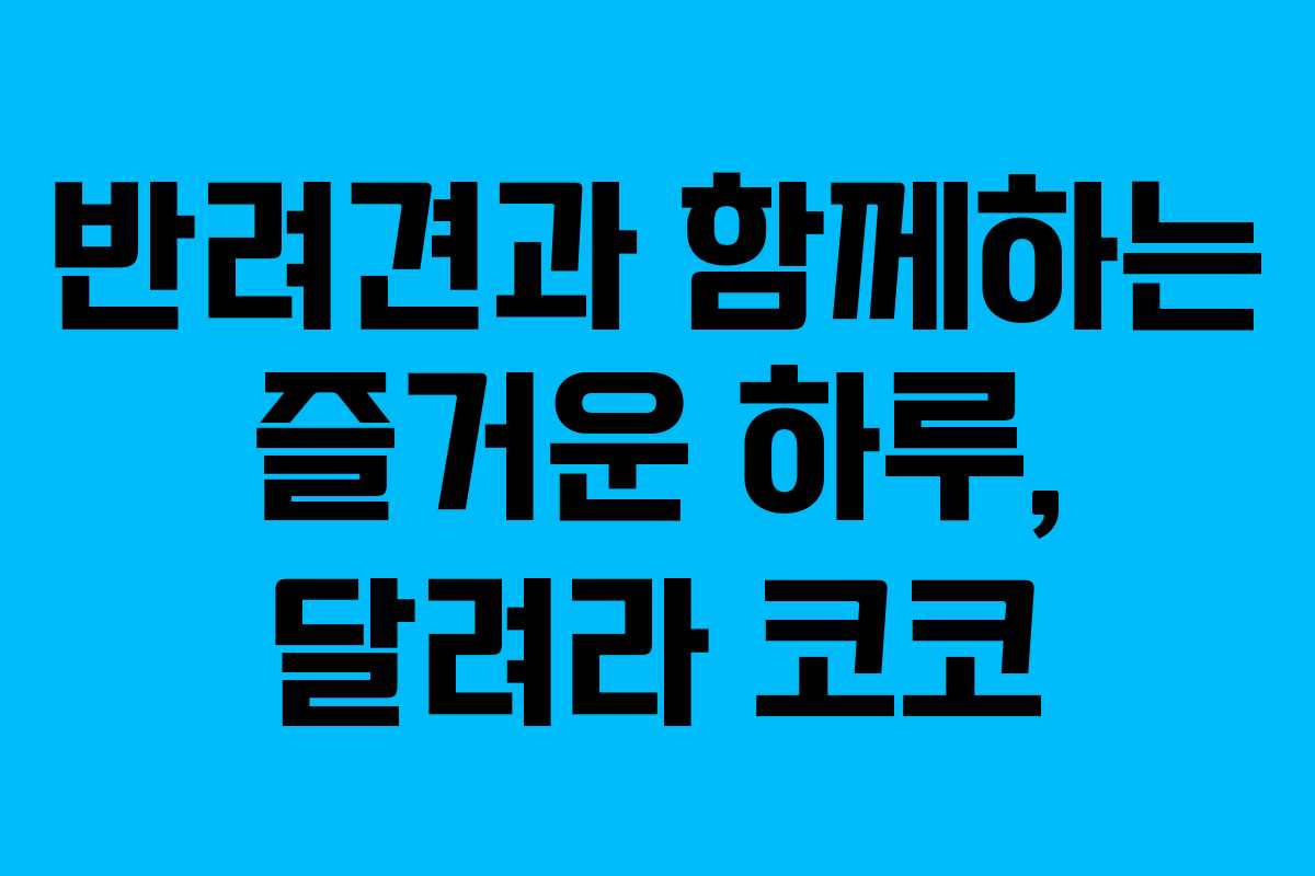 반려견과 함께하는 즐거운 하루, 달려라 코코