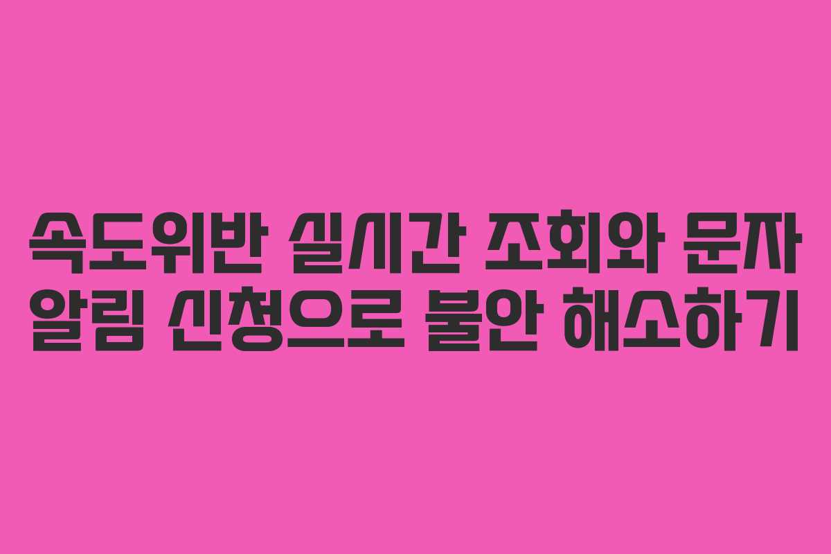 속도위반 실시간 조회와 문자 알림 신청으로 불안 해소하기