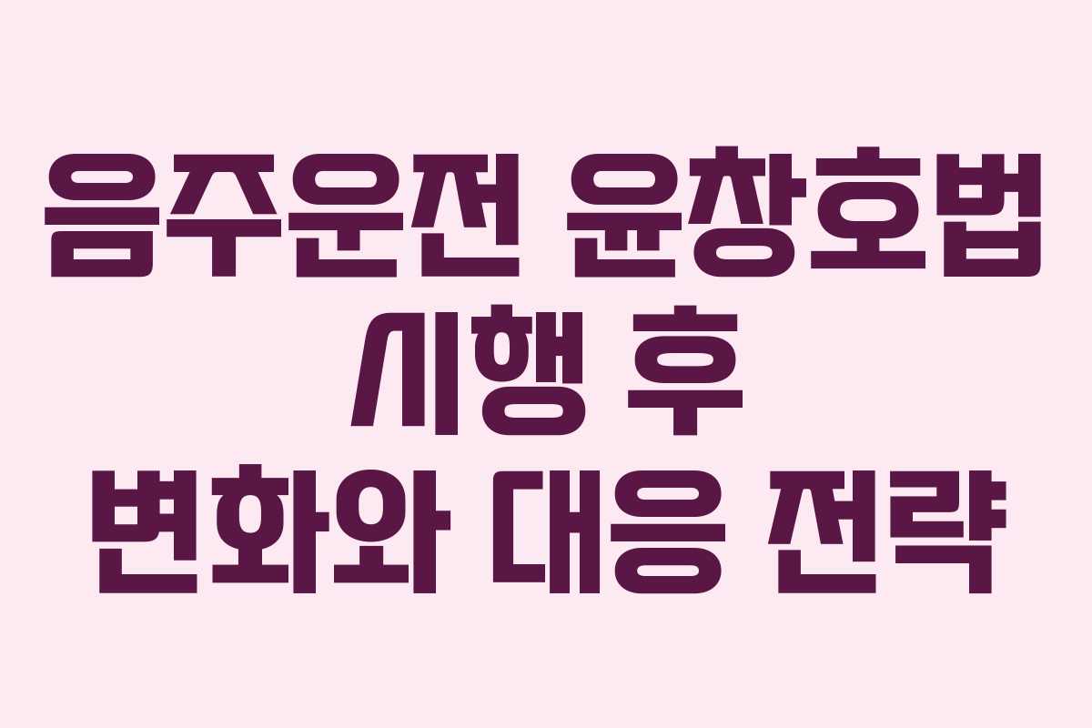 음주운전 윤창호법 시행 후 변화와 대응 전략