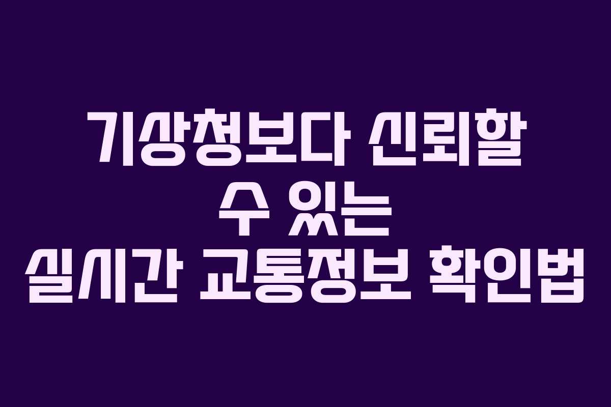 기상청보다 신뢰할 수 있는 실시간 교통정보 확인법