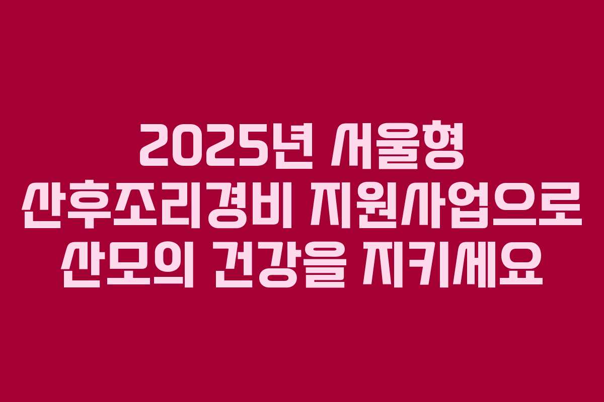 2025년 서울형 산후조리경비 지원사업으로 산모의 건강을 지키세요