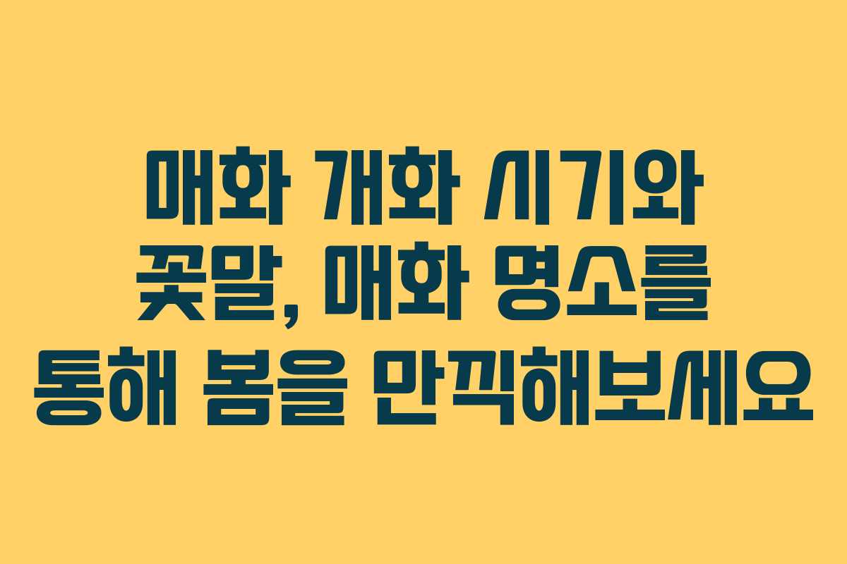 매화 개화 시기와 꽃말, 매화 명소를 통해 봄을 만끽해보세요