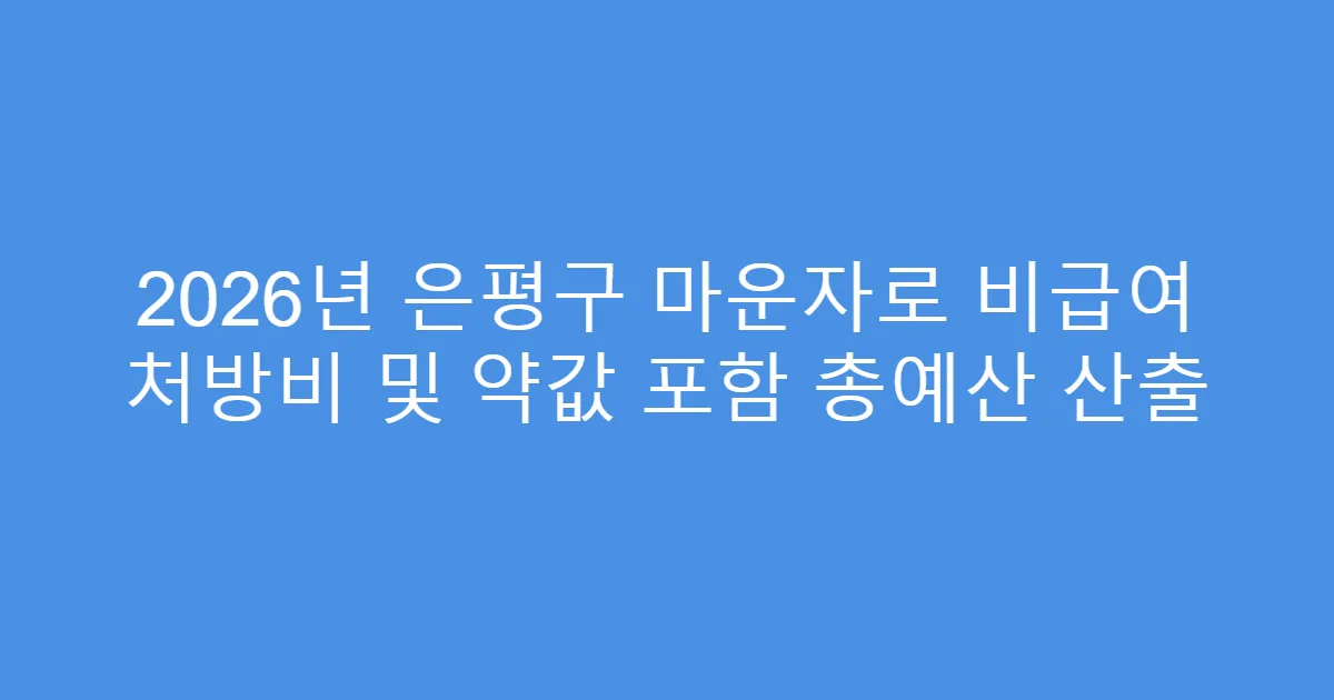 2026년 은평구 마운자로 비급여 처방비 및 약값 포함 총예산 산출
