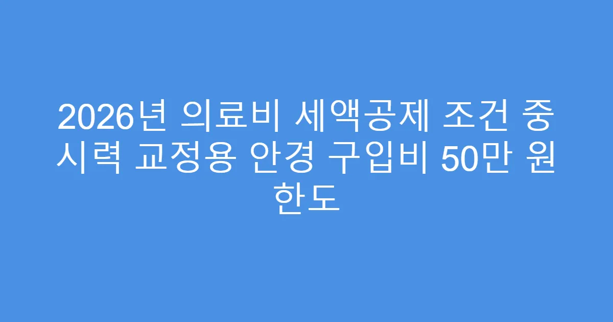 2026년 의료비 세액공제 조건 중 시력 교정용 안경 구입비 50만 원 한도