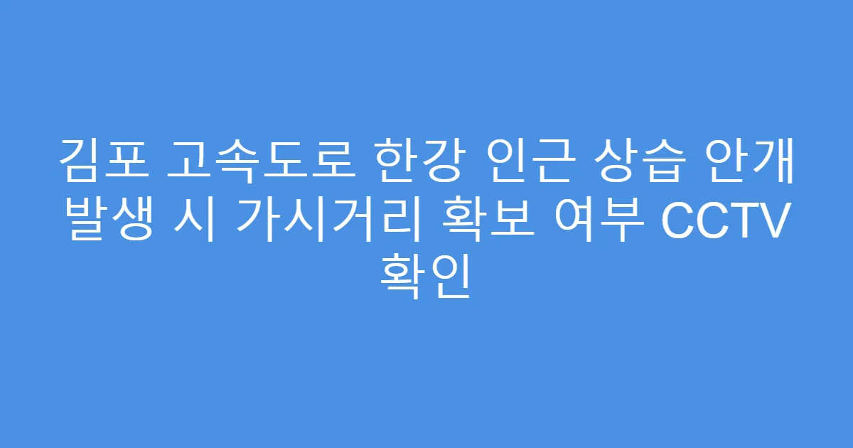 김포 고속도로 한강 인근 상습 안개 발생 시 가시거리 확보 여부 CCTV 확인