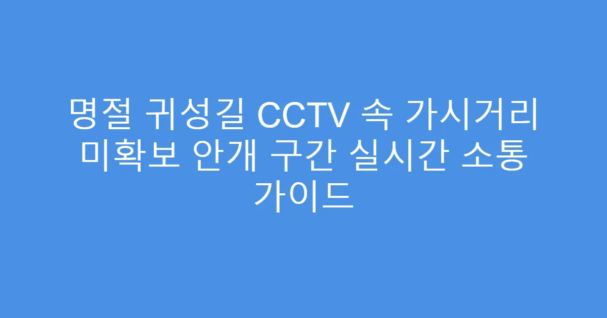 명절 귀성길 CCTV 속 가시거리 미확보 안개 구간 실시간 소통 가이드