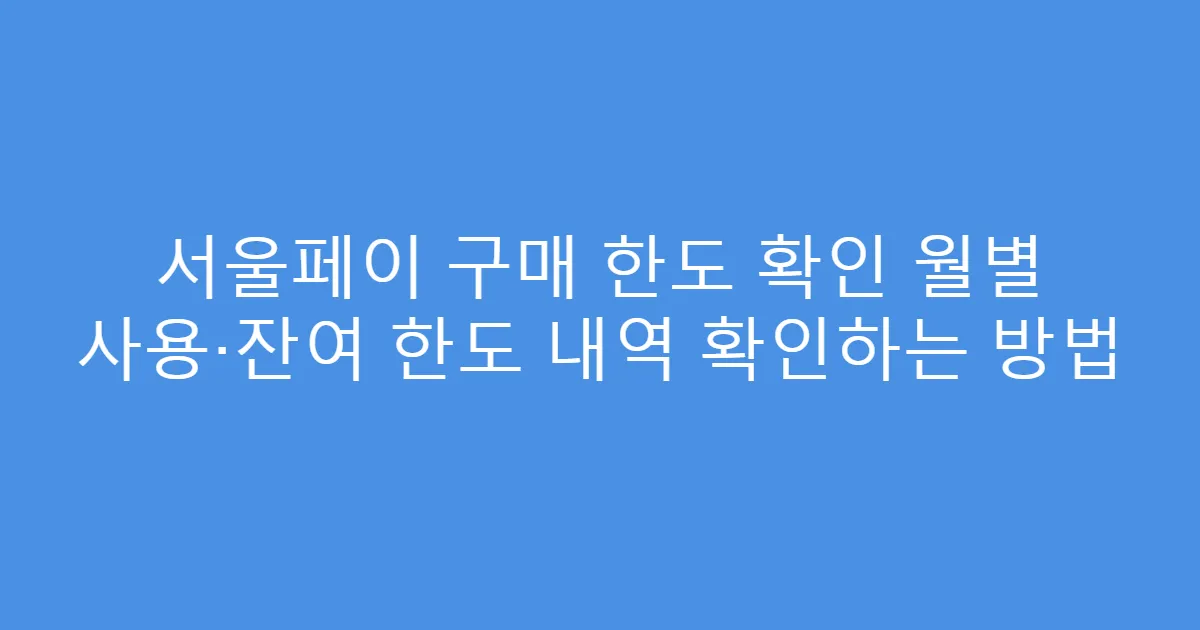 서울페이 구매 한도 확인 월별 사용·잔여 한도 내역 확인하는 방법