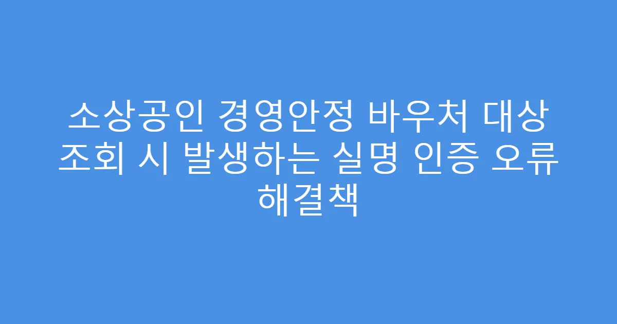 소상공인 경영안정 바우처 대상 조회 시 발생하는 실명 인증 오류 해결책
