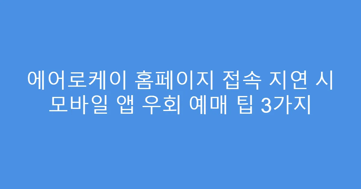 에어로케이 홈페이지 접속 지연 시 모바일 앱 우회 예매 팁 3가지