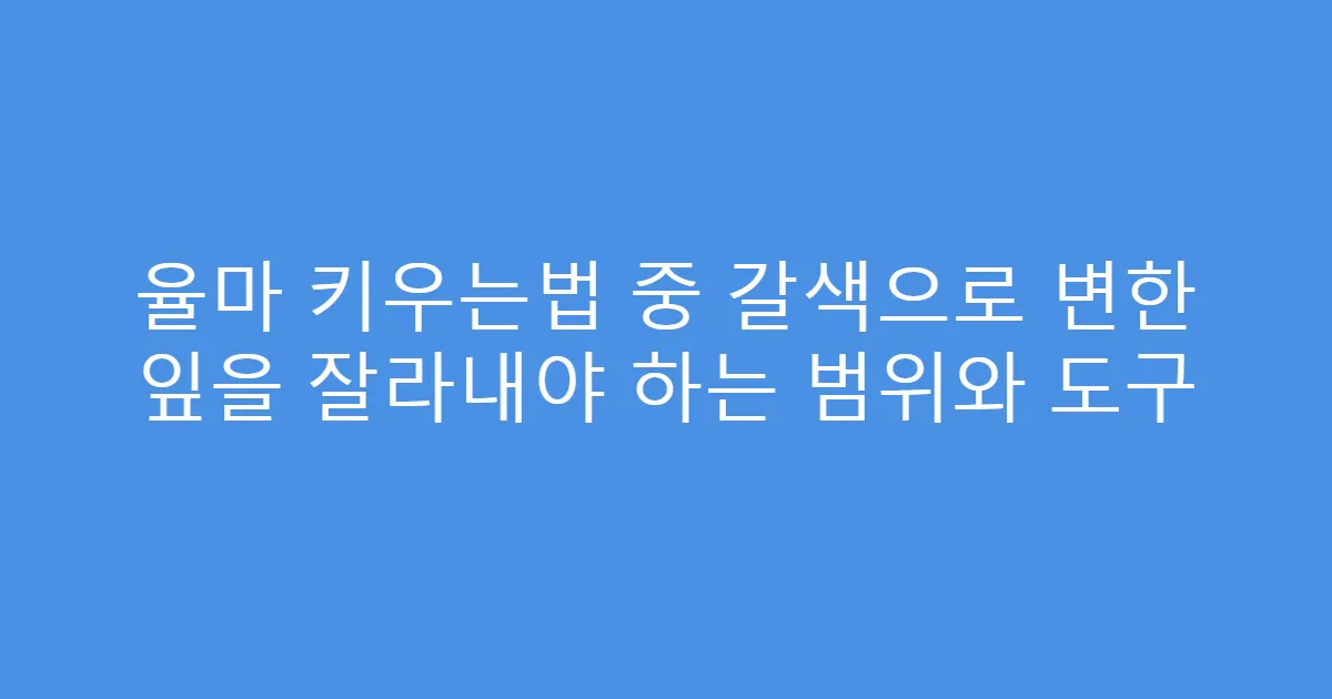 율마 키우는법 중 갈색으로 변한 잎을 잘라내야 하는 범위와 도구
