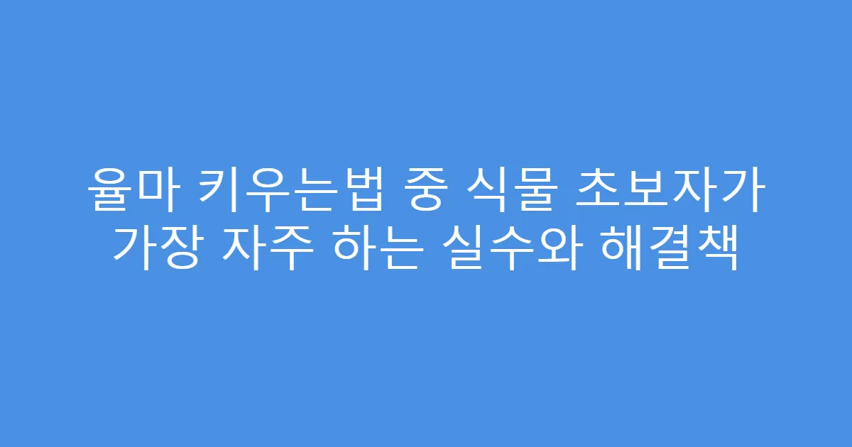 율마 키우는법 중 식물 초보자가 가장 자주 하는 실수와 해결책