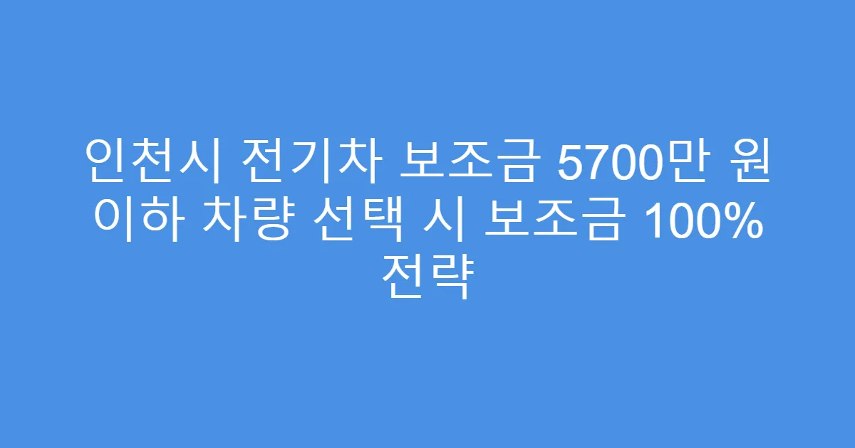 인천시 전기차 보조금 5700만 원 이하 차량 선택 시 보조금 100% 전략
