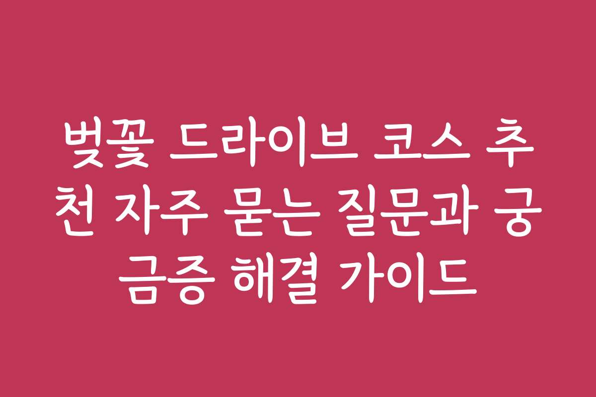 벚꽃 드라이브 코스 추천 자주 묻는 질문과 궁금증 해결 가이드
