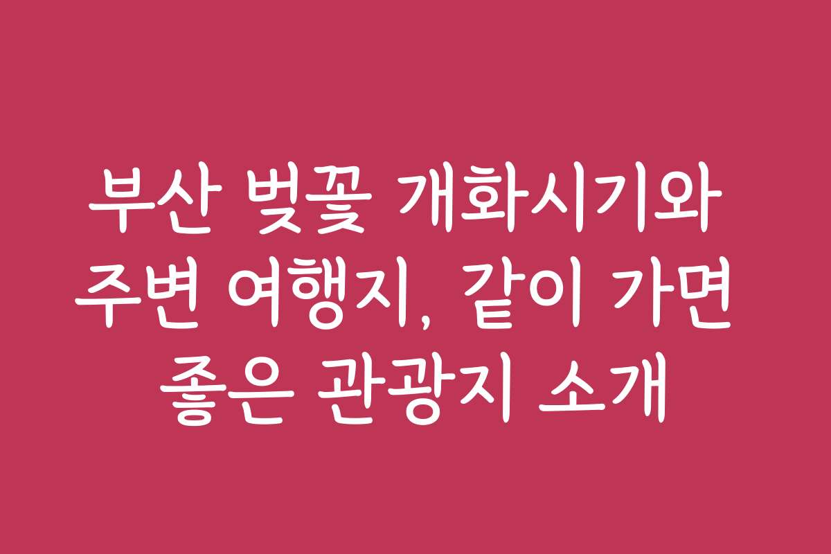 부산 벚꽃 개화시기와 주변 여행지, 같이 가면 좋은 관광지 소개