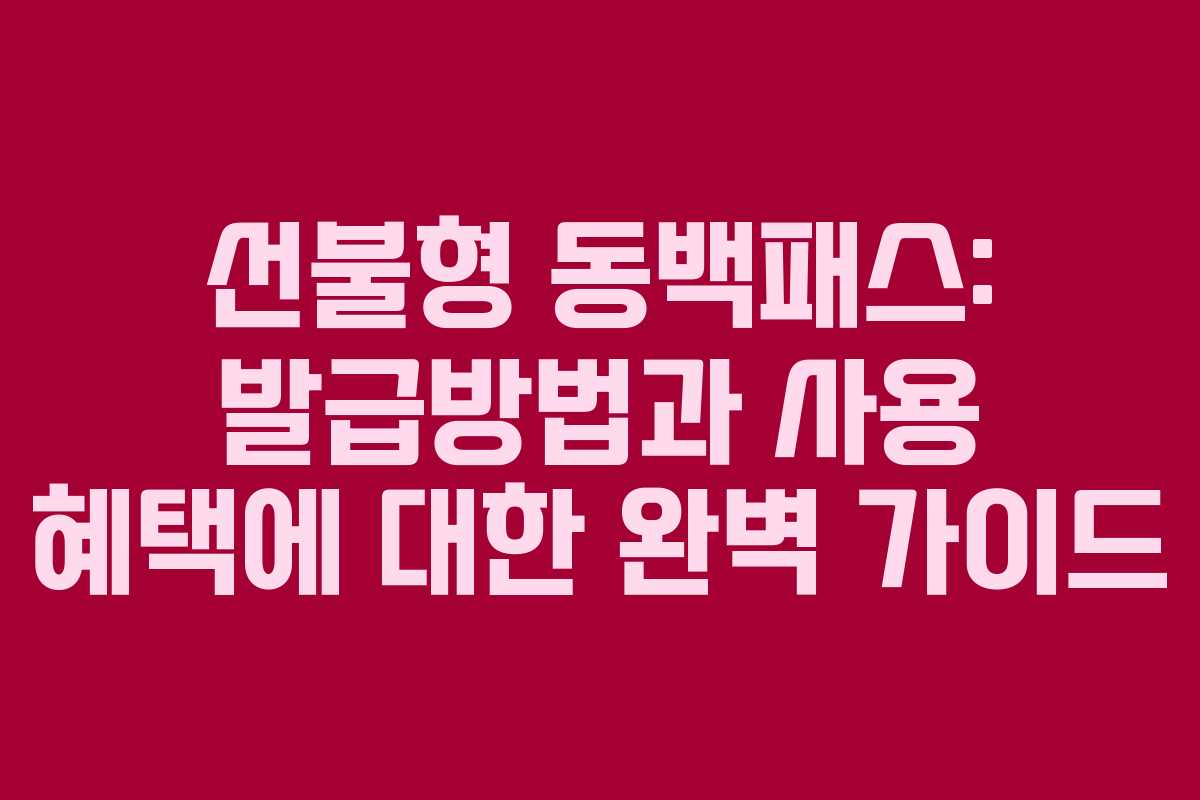 선불형 동백패스: 발급방법과 사용 혜택에 대한 완벽 가이드
