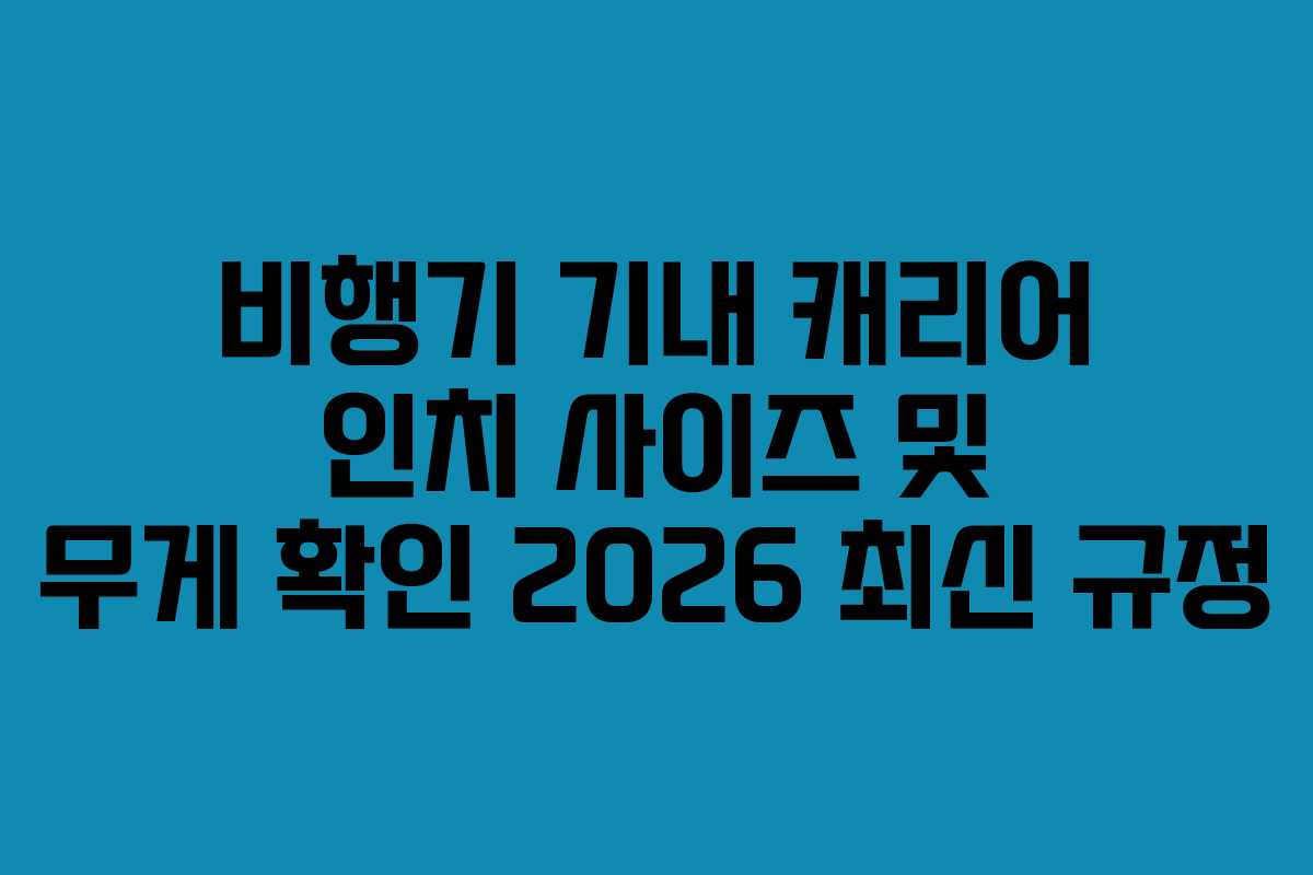 비행기 기내 캐리어 인치 사이즈 및 무게 확인 2026 최신 규정
