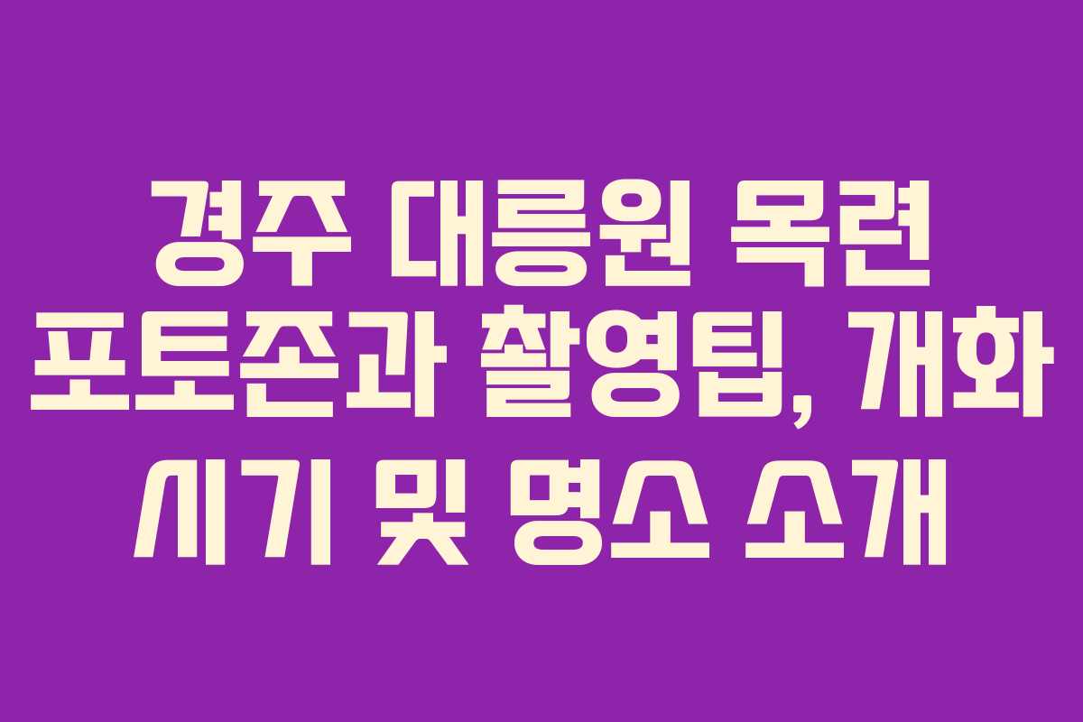 경주 대릉원 목련 포토존과 촬영팁, 개화 시기 및 명소 소개
