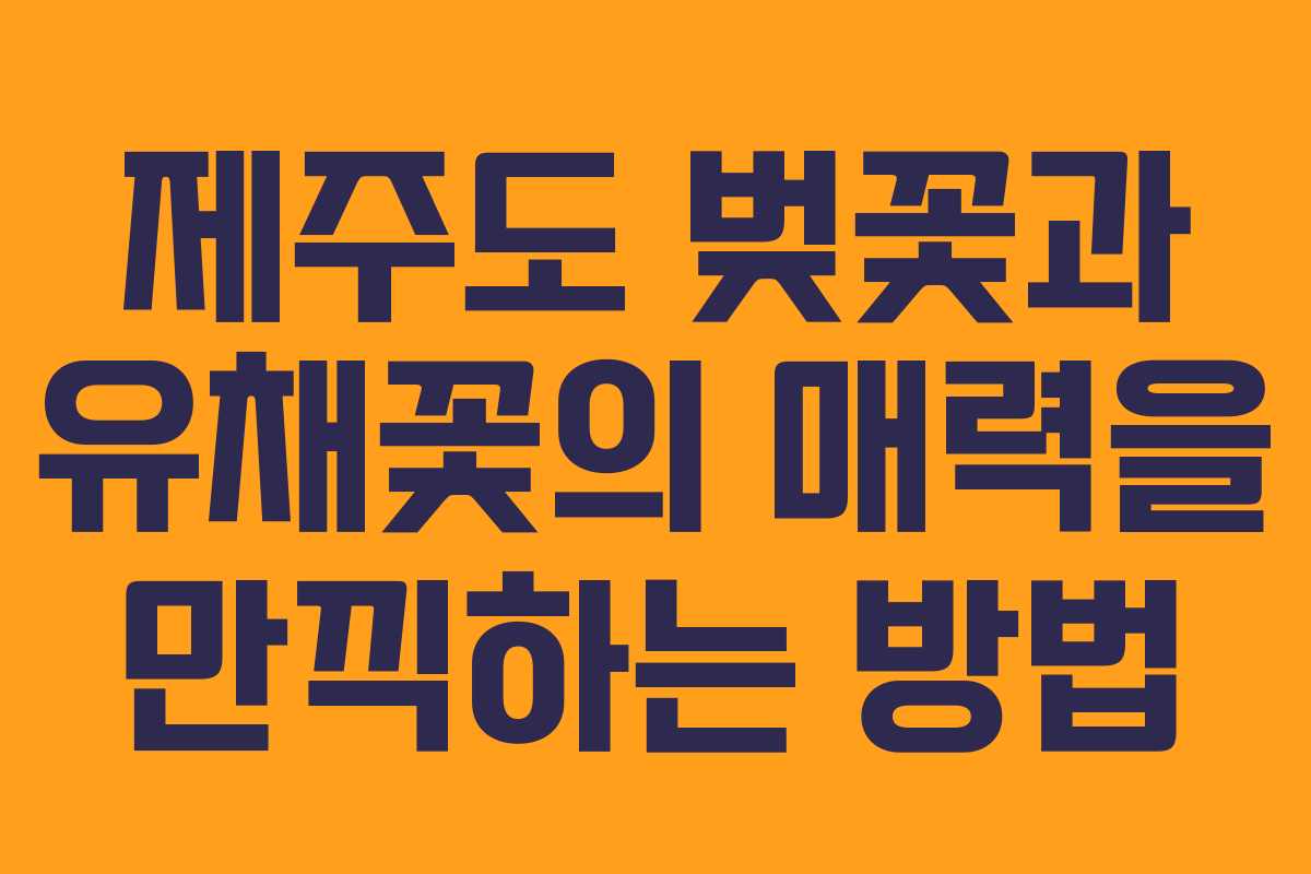 제주도 벚꽃과 유채꽃의 매력을 만끽하는 방법