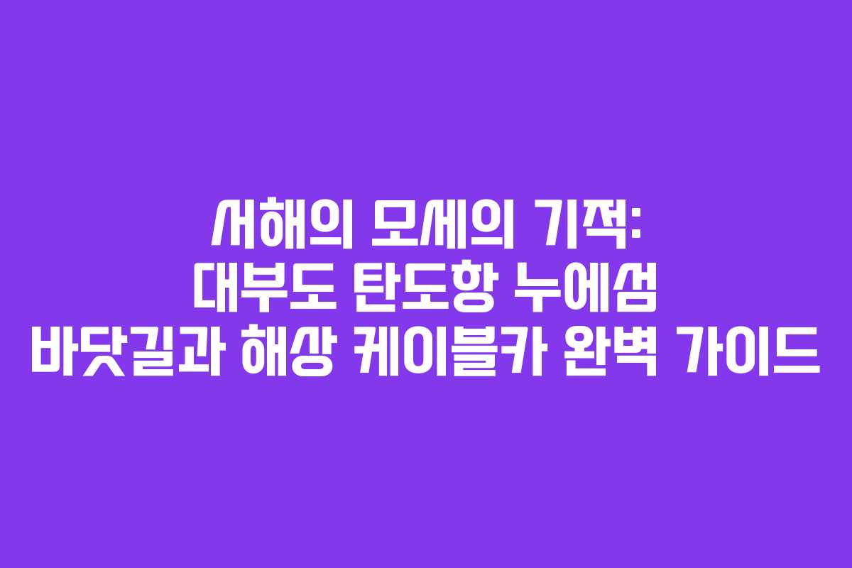 서해의 모세의 기적: 대부도 탄도항 누에섬 바닷길과 해상 케이블카 완벽 가이드