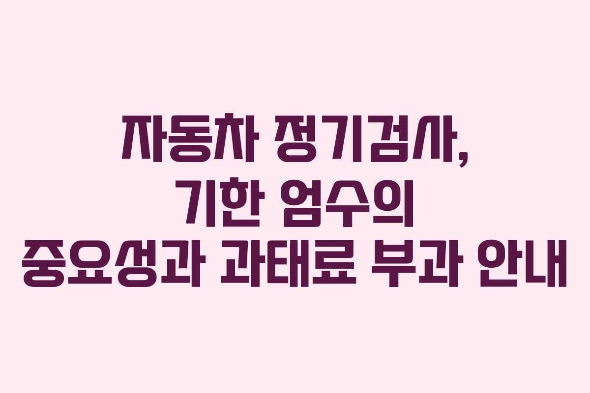 자동차 정기검사, 기한 엄수의 중요성과 과태료 부과 안내