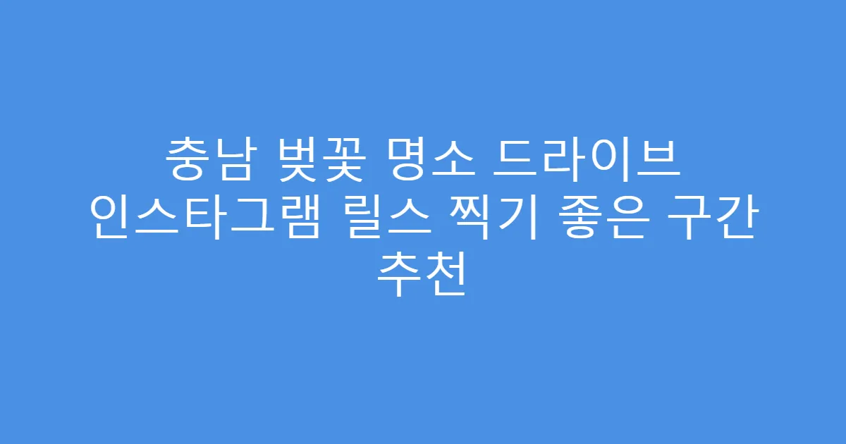 충남 벚꽃 명소 드라이브 인스타그램 릴스 찍기 좋은 구간 추천