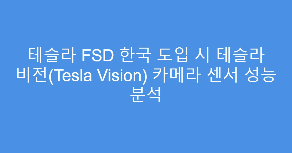 테슬라 FSD 한국 도입 시 테슬라 비전(Tesla Vision) 카메라 센서 성능 분석