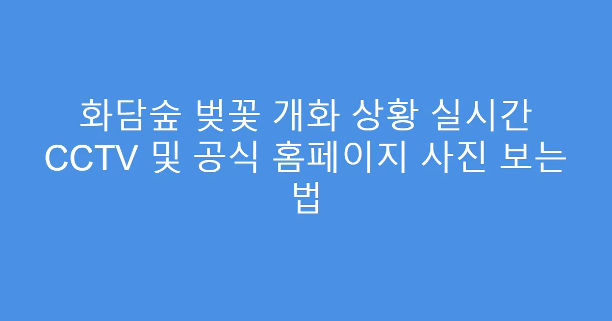 화담숲 벚꽃 개화 상황 실시간 CCTV 및 공식 홈페이지 사진 보는 법