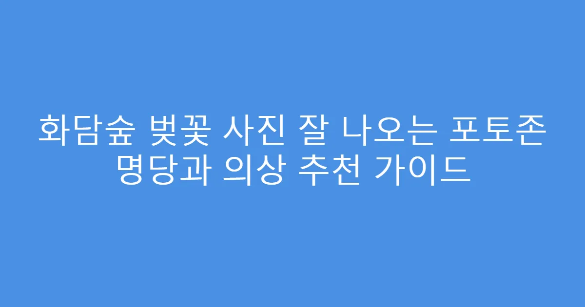 화담숲 벚꽃 사진 잘 나오는 포토존 명당과 의상 추천 가이드