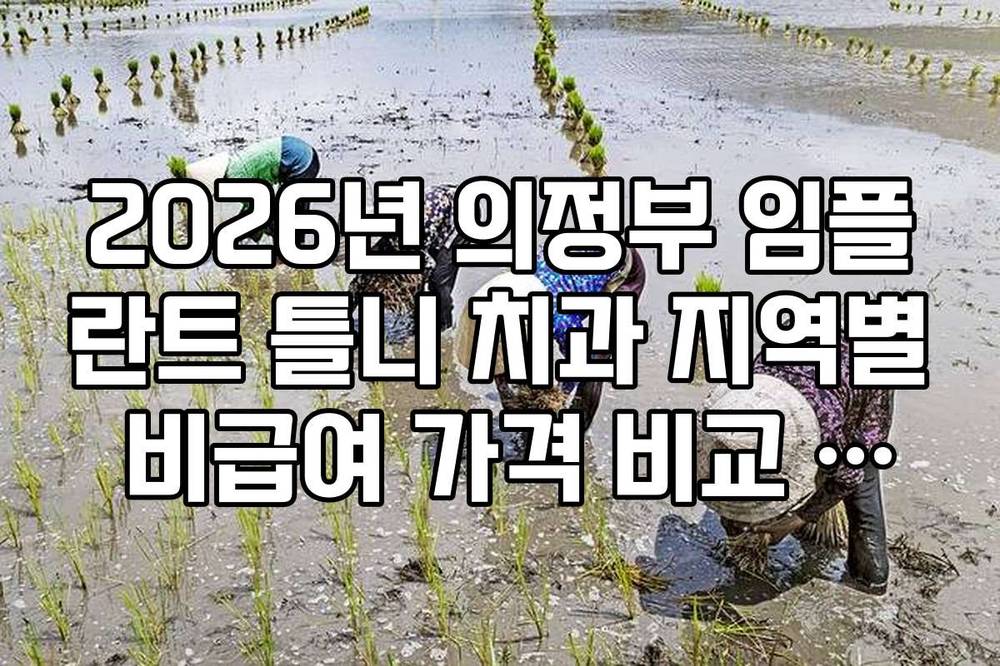 2026년 의정부 임플란트 틀니 치과 지역별 비급여 가격 비교 가이드