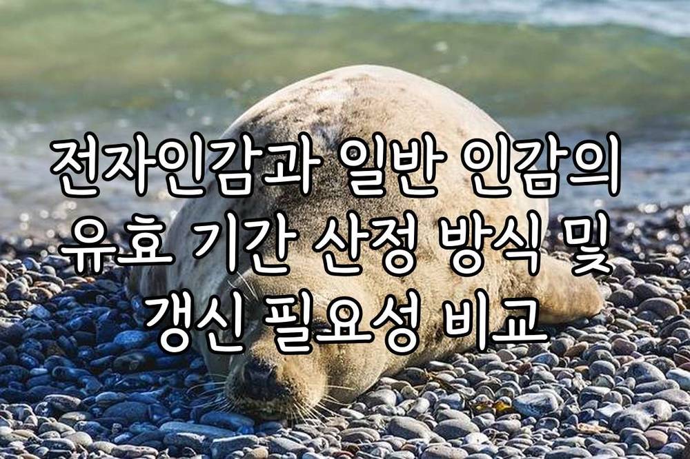 전자인감과 일반 인감의 유효 기간 산정 방식 및 갱신 필요성 비교