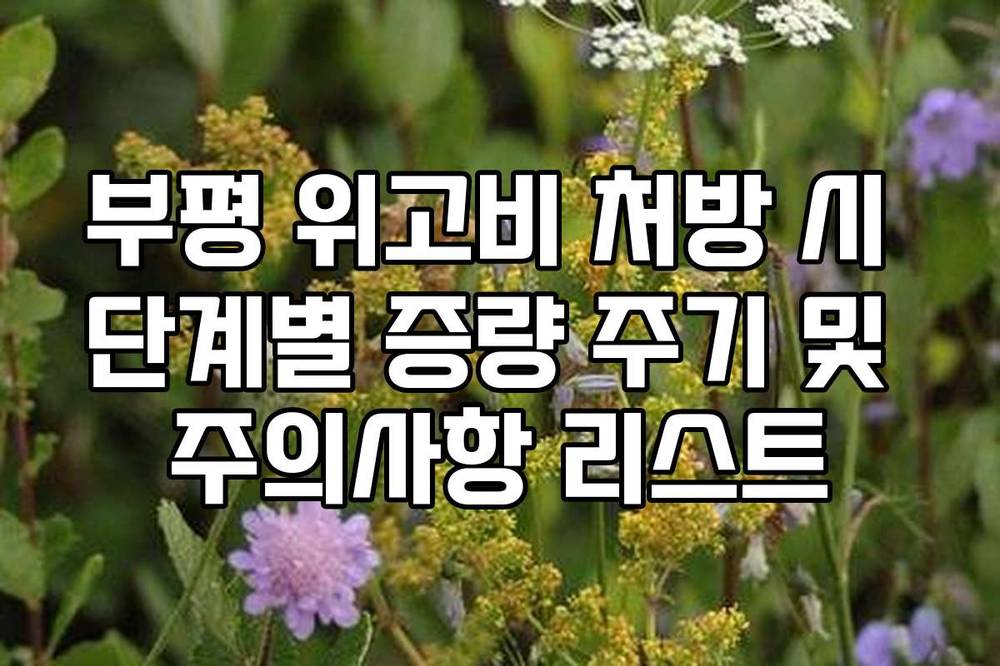 부평 위고비 처방 시 단계별 증량 주기 및 주의사항 리스트