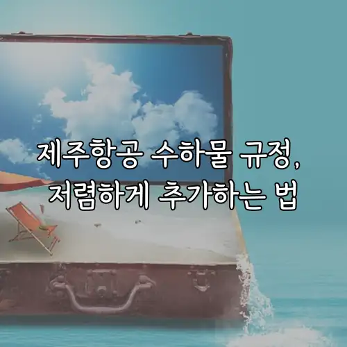 제주항공 수하물 규정, 저렴하게 추가하는 법