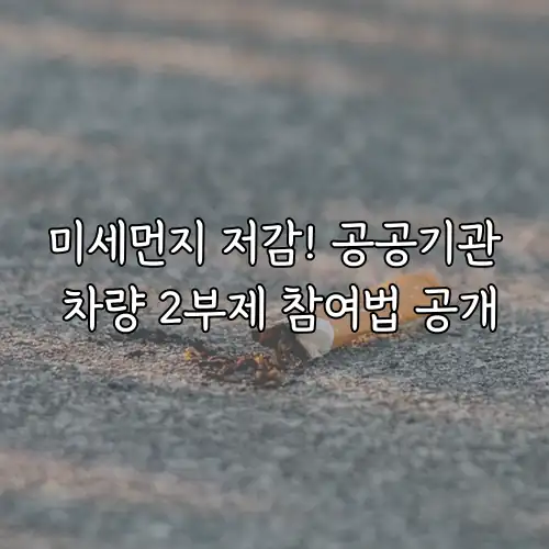 미세먼지 저감! 공공기관 차량 2부제 참여법 공개