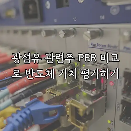 광섬유 관련주 PER 비교로 반도체 가치 평가하기