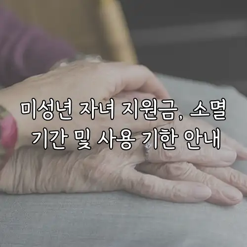 미성년 자녀 지원금, 소멸 기간 및 사용 기한 안내