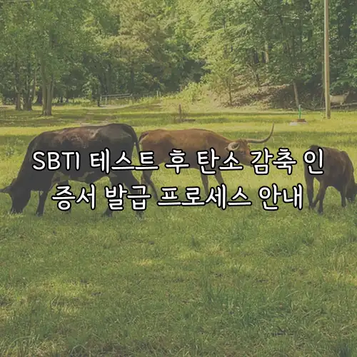 SBTI 테스트 후 탄소 감축 인증서 발급 프로세스 안내