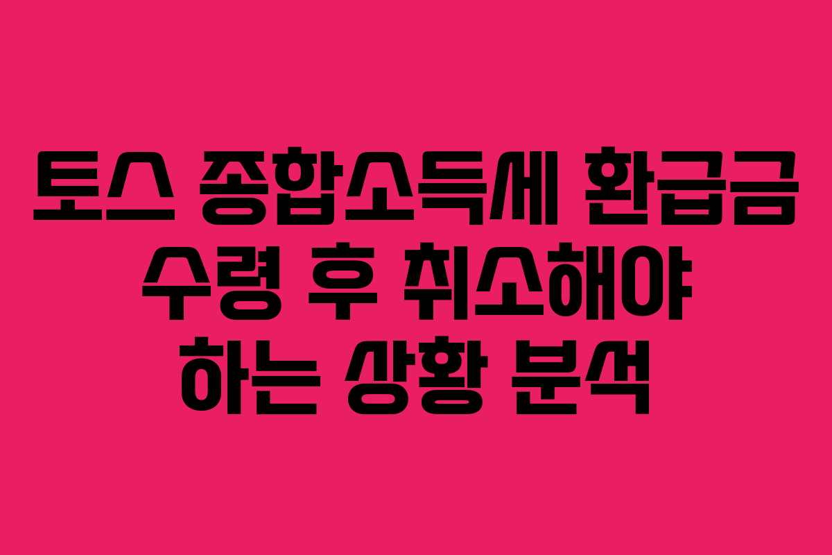 토스-종합소득세-환급금-수령-후-취소해야-하는-상황-분석