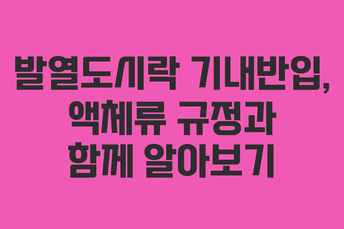 발열도시락-기내반입,-액체류-규정과-함께-알아보기